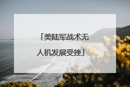美陆军战术无人机发展受挫