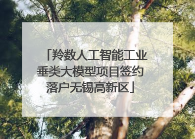 羚数人工智能工业垂类大模型项目签约落户无锡高新区