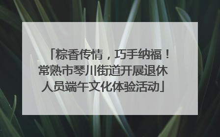 粽香传情，巧手纳福！常熟市琴川街道开展退休人员端午文化体验活动