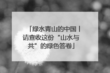 绿水青山的中国丨请查收这份“山水与共”的绿色答卷