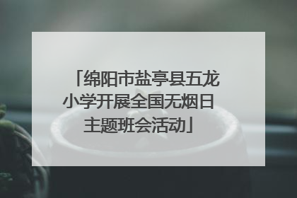绵阳市盐亭县五龙小学开展全国无烟日主题班会活动