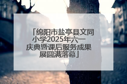 绵阳市盐亭县文同小学2025年六一庆典暨课后服务成果展圆满落幕