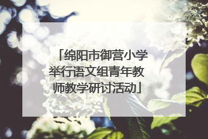 绵阳市御营小学举行语文组青年教师教学研讨活动