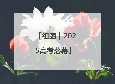 组图｜2025高考落幕