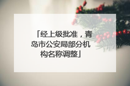经上级批准，青岛市公安局部分机构名称调整
