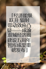经济能级跃升 辐射带动效应凸显——成渝双城经济圈建设五周年智库成果重磅发布