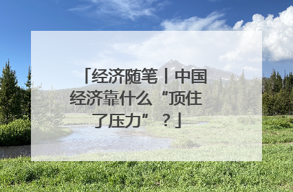 经济随笔丨中国经济靠什么“顶住了压力”？