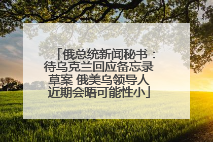 俄总统新闻秘书：待乌克兰回应备忘录草案 俄美乌领导人近期会晤可能性小