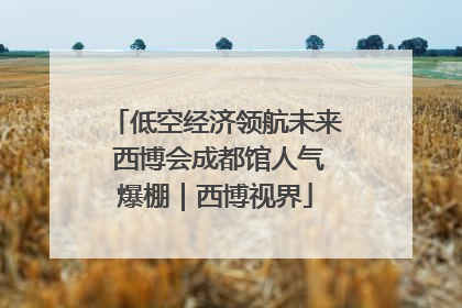 低空经济领航未来 西博会成都馆人气爆棚｜西博视界