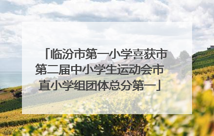临汾市第一小学喜获市第二届中小学生运动会市直小学组团体总分第一