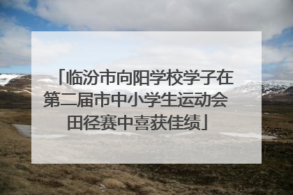 临汾市向阳学校学子在第二届市中小学生运动会田径赛中喜获佳绩