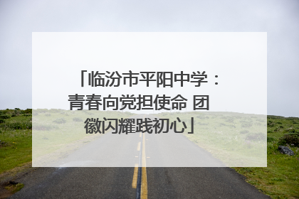 临汾市平阳中学：青春向党担使命 团徽闪耀践初心