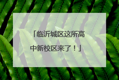 临沂城区这所高中新校区来了！