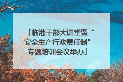临港干部大讲堂暨“安全生产行政责任制”专题培训会议举办