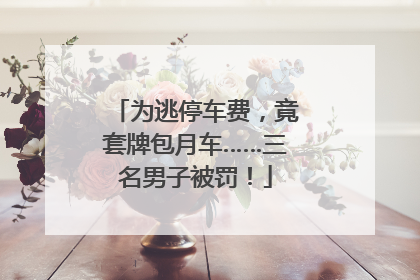 为逃停车费，竟套牌包月车……三名男子被罚！