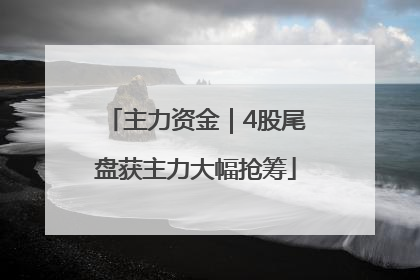 主力资金｜4股尾盘获主力大幅抢筹
