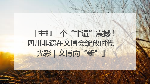 主打一个“非遗”震撼！四川非遗在文博会绽放时代光彩｜文博向“新”
