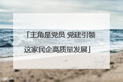 主角是党员 党建引领这家民企高质量发展