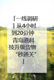一线调研丨从4小时到20分钟 青岛港科技升级货物“秒通关”