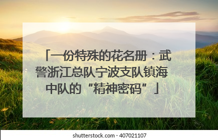 一份特殊的花名册：武警浙江总队宁波支队镇海中队的“精神密码”