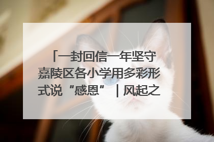 一封回信一年坚守 嘉陵区各小学用多彩形式说“感恩”｜风起之江 扶摇直上