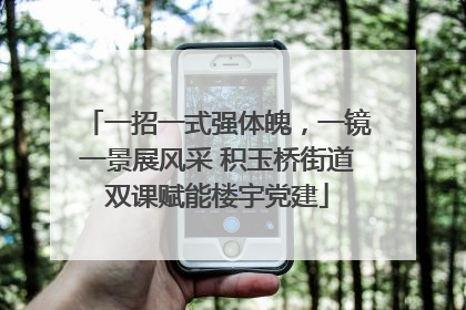 一招一式强体魄，一镜一景展风采 积玉桥街道双课赋能楼宇党建