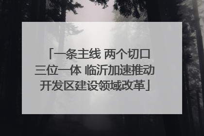 一条主线 两个切口 三位一体 临沂加速推动开发区建设领域改革