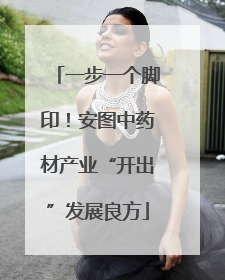 一步一个脚印！安图中药材产业“开出”发展良方