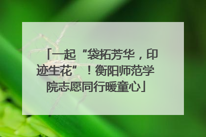 一起“袋拓芳华，印迹生花”！衡阳师范学院志愿同行暖童心