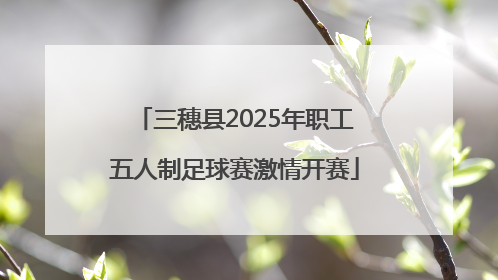 三穗县2025年职工五人制足球赛激情开赛