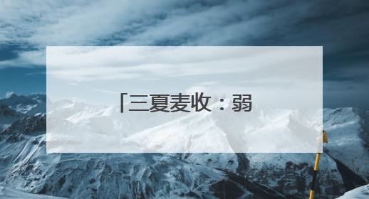 三夏麦收：弱筋小麦如何变得“强”起来