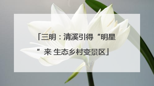 三明：清溪引得“明星”来 生态乡村变景区