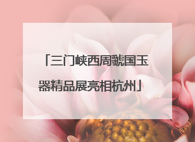 三门峡西周虢国玉器精品展亮相杭州