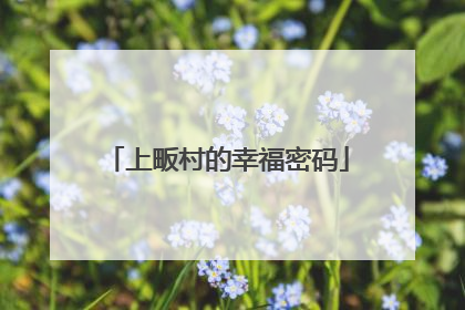 上畈村的幸福密码