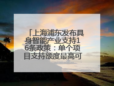 上海浦东发布具身智能产业支持16条政策：单个项目支持额度最高可达亿级
