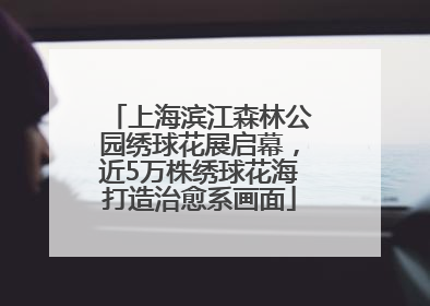 上海滨江森林公园绣球花展启幕，近5万株绣球花海打造治愈系画面