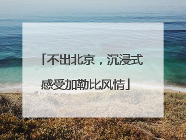 不出北京，沉浸式感受加勒比风情