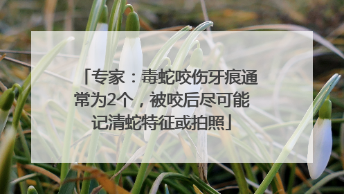 专家：毒蛇咬伤牙痕通常为2个，被咬后尽可能记清蛇特征或拍照