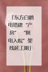 东方白鹳电塔建“产房” “陕电入皖”架线延工期