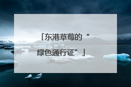 东港草莓的“绿色通行证”