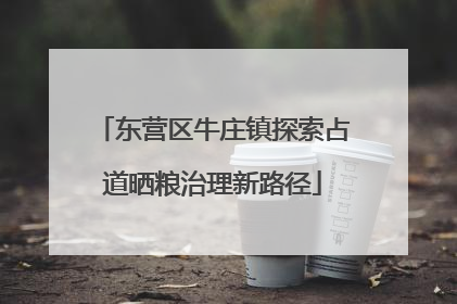 东营区牛庄镇探索占道晒粮治理新路径