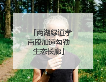 两湖绿道孝南段加速勾勒生态长廊