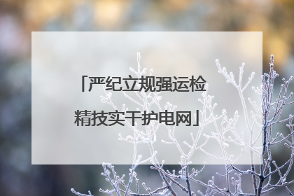 严纪立规强运检 精技实干护电网