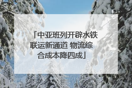 中亚班列开辟水铁联运新通道 物流综合成本降四成