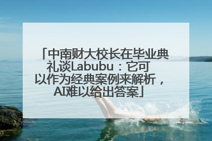 中南财大校长在毕业典礼谈Labubu：它可以作为经典案例来解析，AI难以给出答案