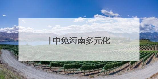 中免海南多元化消费场景不断“上新”，点燃夏季海南免税旅游市场