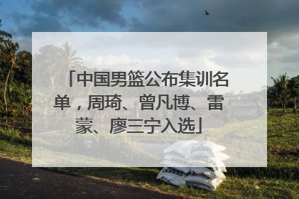 中国男篮公布集训名单，周琦、曾凡博、雷蒙、廖三宁入选