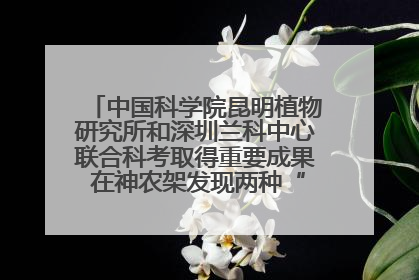 中国科学院昆明植物研究所和深圳兰科中心联合科考取得重要成果 在神农架发现两种“国保”级兰花