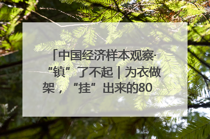 中国经济样本观察·“镇”了不起｜为衣做架，“挂”出来的80亿元“衣架产业”