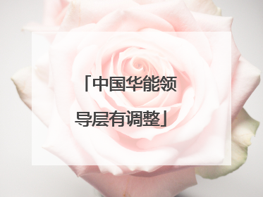 中国华能领导层有调整